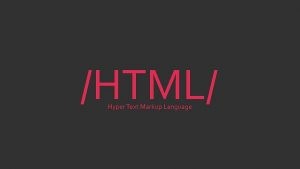HTML Editor .NET Edition Crack